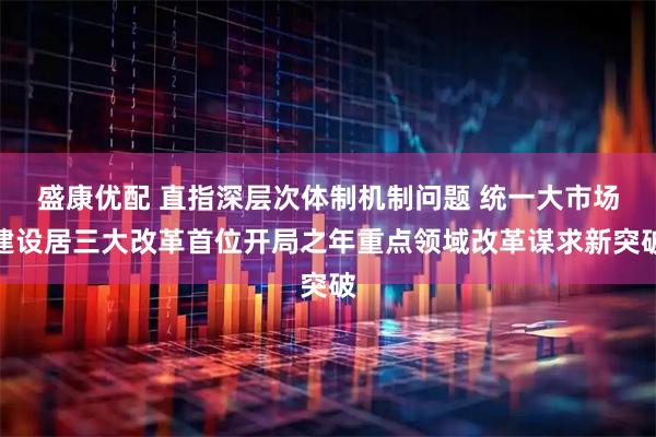 盛康优配 直指深层次体制机制问题 统一大市场建设居三大改革首位开局之年重点领域改革谋求新突破