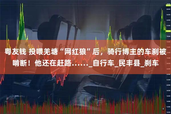 粤友钱 投喂羌塘“网红狼”后，骑行博主的车刹被啃断！他还在赶路……_自行车_民丰县_刹车